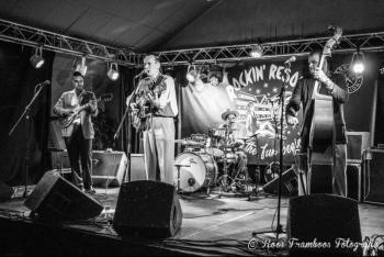 The Western Stringbyrds (Roos Framboos Photography)